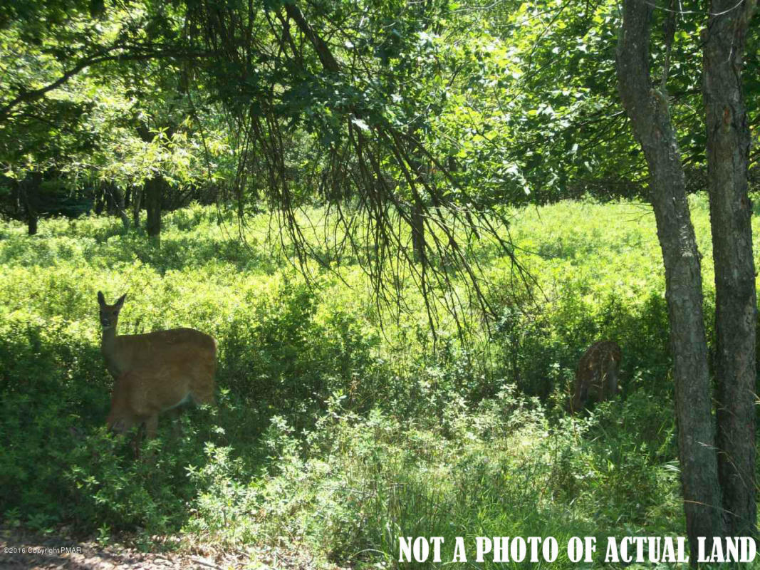 J748 YELLOW RUN ROAD, JIM THORPE, PA 18229, photo 1