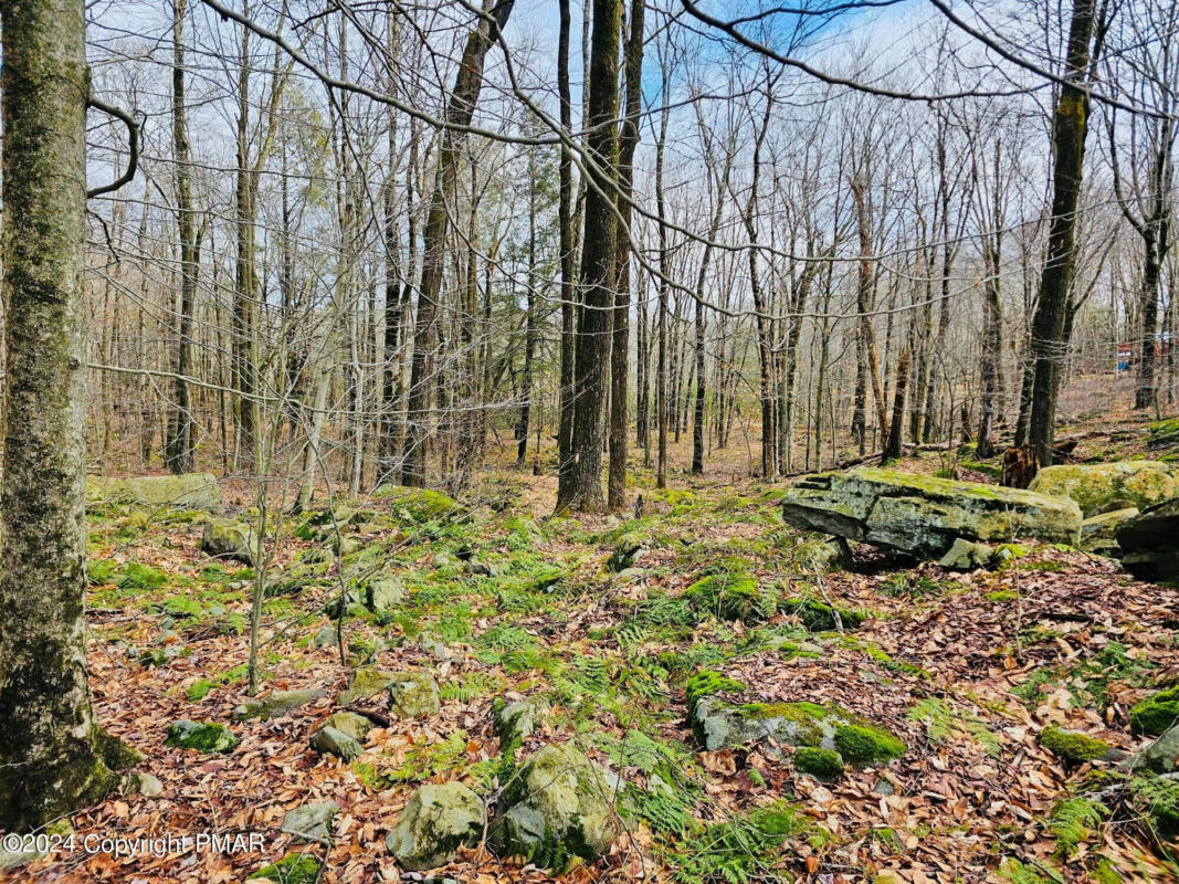 LOT 23R LAKEWOOD COURT, CANADENSIS, PA 18325, photo 1 of 16