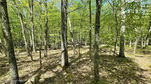 LOT 226 BLUEBIRD DRIVE, BUSHKILL, PA 18324, photo 5 of 6