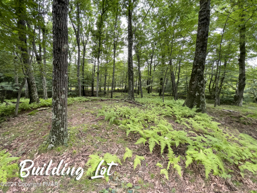 SKYLINE LOT 64 DRIVE, CANADENSIS, PA 18325, photo 1 of 11