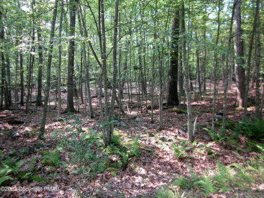 LOT # 253 VALLEY VIEW CT, HAWLEY, PA 18428, photo 5 of 15