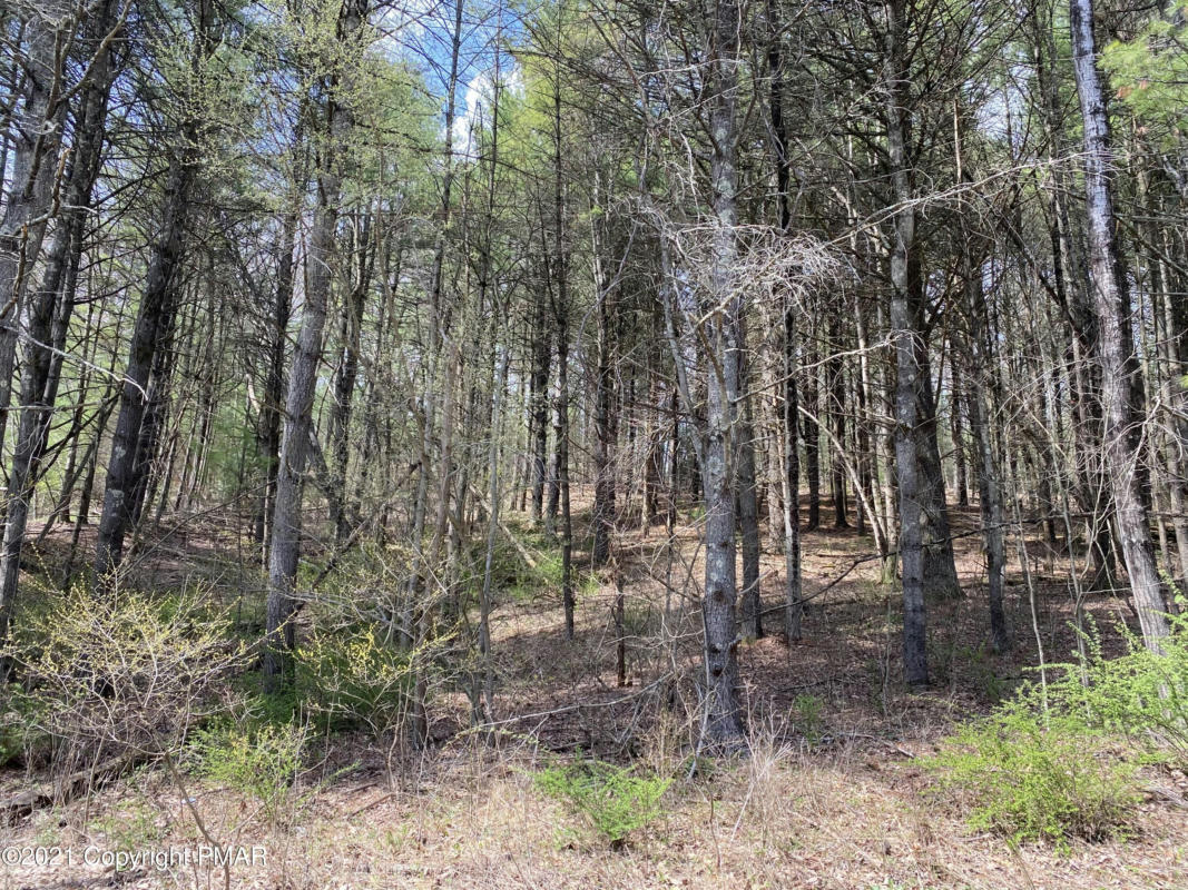 LOT#2 HANEY ROAD, KUNKLETOWN, PA 18058, photo 1 of 9